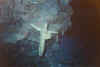 Punta Sur - A sponge makes a cross