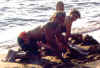 Dino, Julie Ponovski, Danielle Pensule - Higgens Lake, July 1999