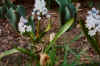 Mid March 2000 - Back Patio