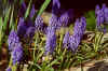 Late April 2000