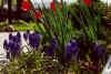 Late April 2000