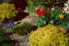 Late April 2000