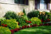 summerflowers5.jpg (71459 bytes)