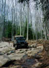 Josh goes to Tellico without his Jeep